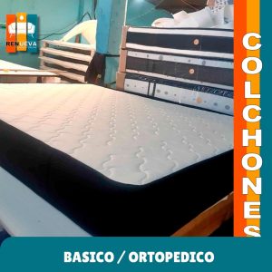 BASICO ORTOPEDICO / CASSATA